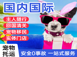 梅县航空快递国际宠物托运 【国